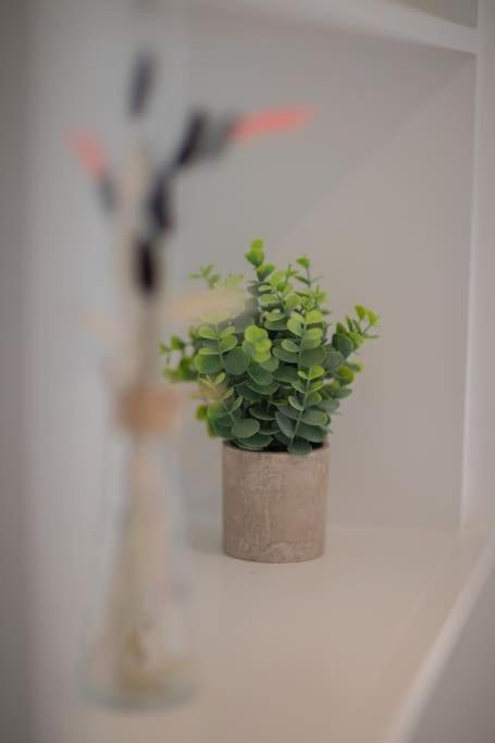 Perfect Location 4Bed 2 Bath Spacious Apartment ロンドン エクステリア 写真